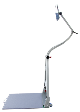 Sense of Balance - Sistema de estación de entrenamiento del equilibrio para fisioterapia y rehabilitación